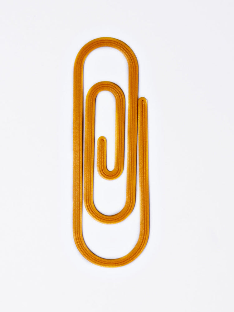 The Completist Paperclip 3D Printed Bookmark